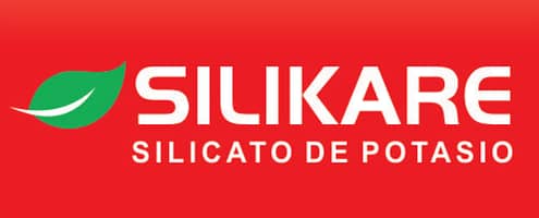 Silikare